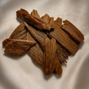 نوادر العود .